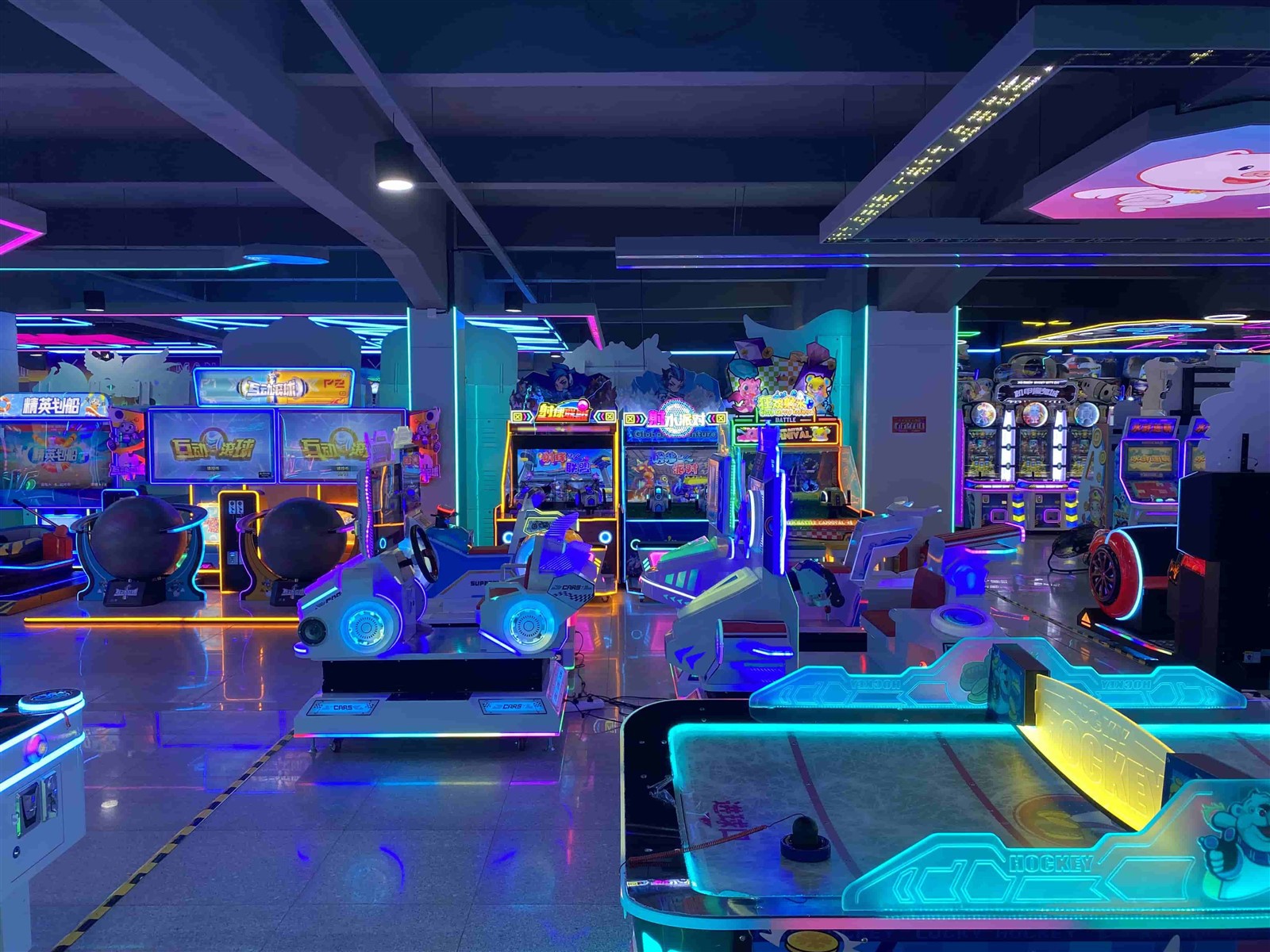 Animo Showroom Animo Showroom